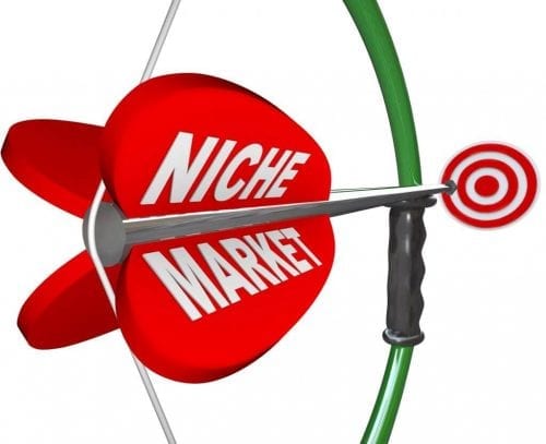 Niche Internet Marketing